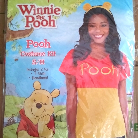 Disney Other - Winnie the Pooh Adult Costume